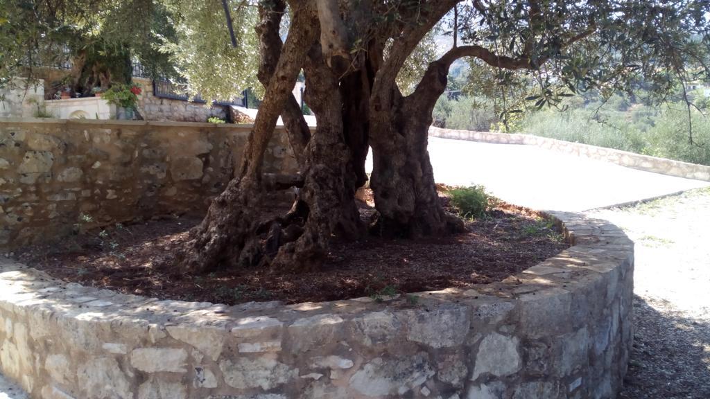 Tzitzifes Stone Mansion Villa Bagian luar foto