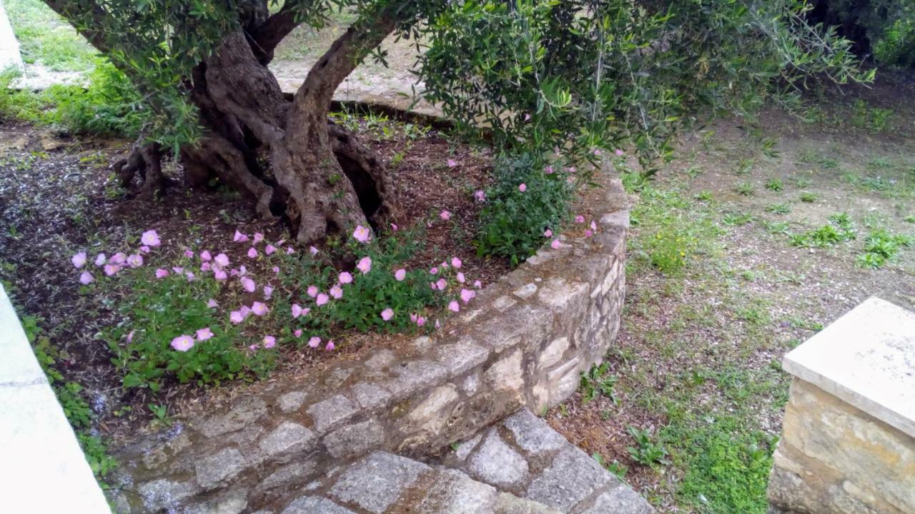 Tzitzifes Stone Mansion Villa Bagian luar foto